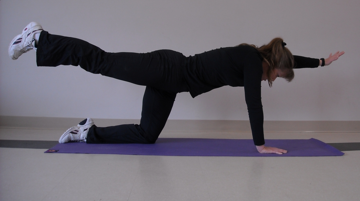 Support Your Back When Riding Horses Horse Journals